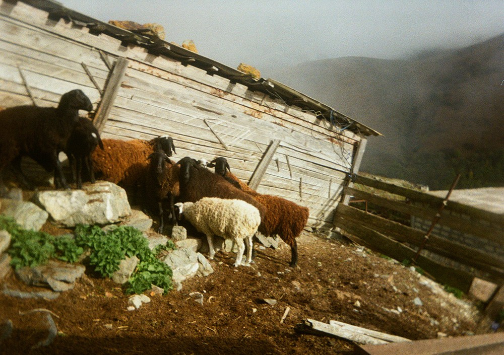 Prints. North Ossetia