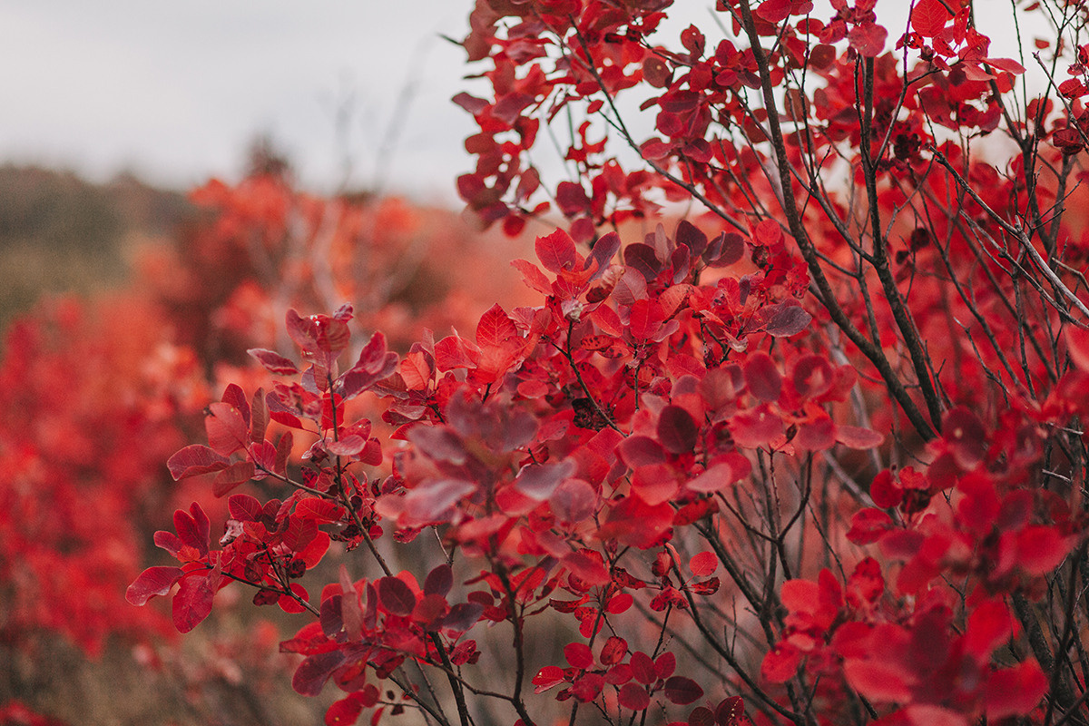 Любовь. Семейный фотограф в Белгороде Аня Никифорова