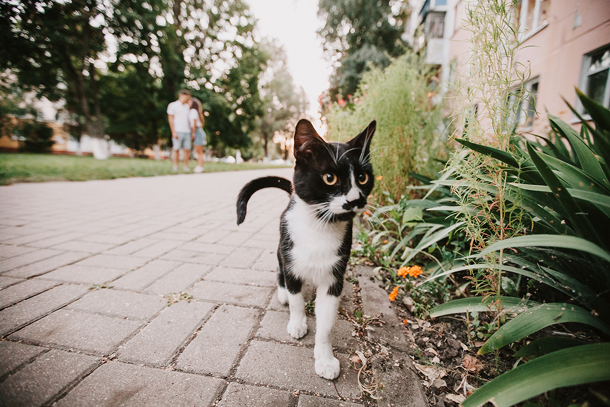 Юля + Леша. Семейный фотограф в Белгороде Аня Никифорова
