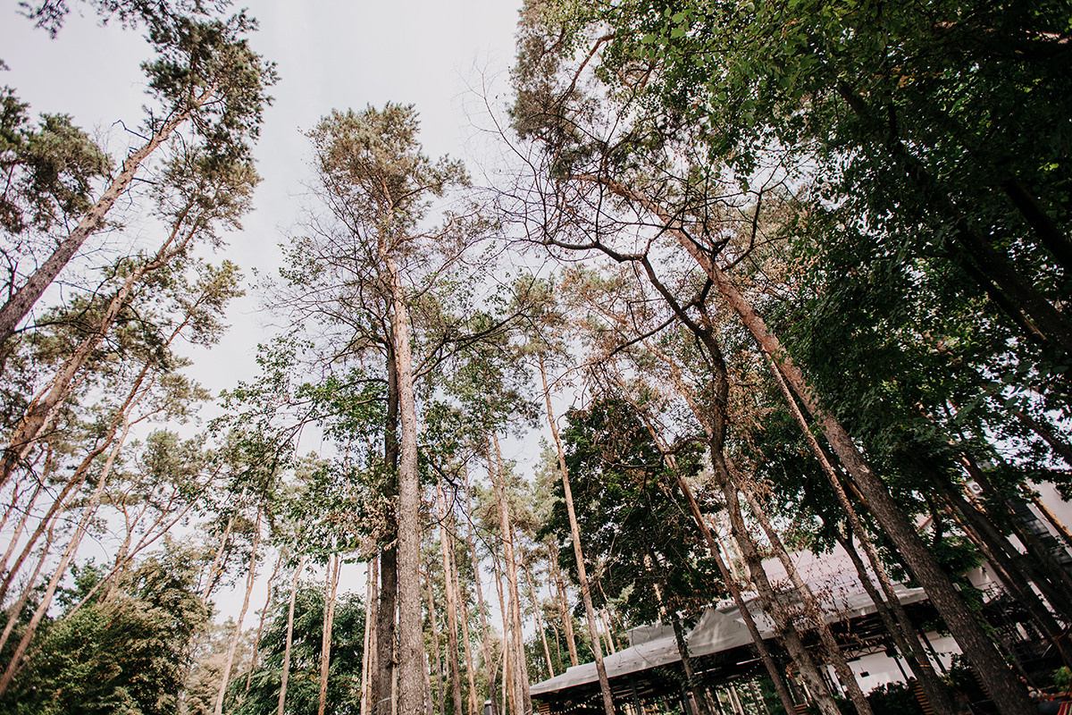 Артём + Анастасия. Семейный фотограф в Белгороде Аня Никифорова