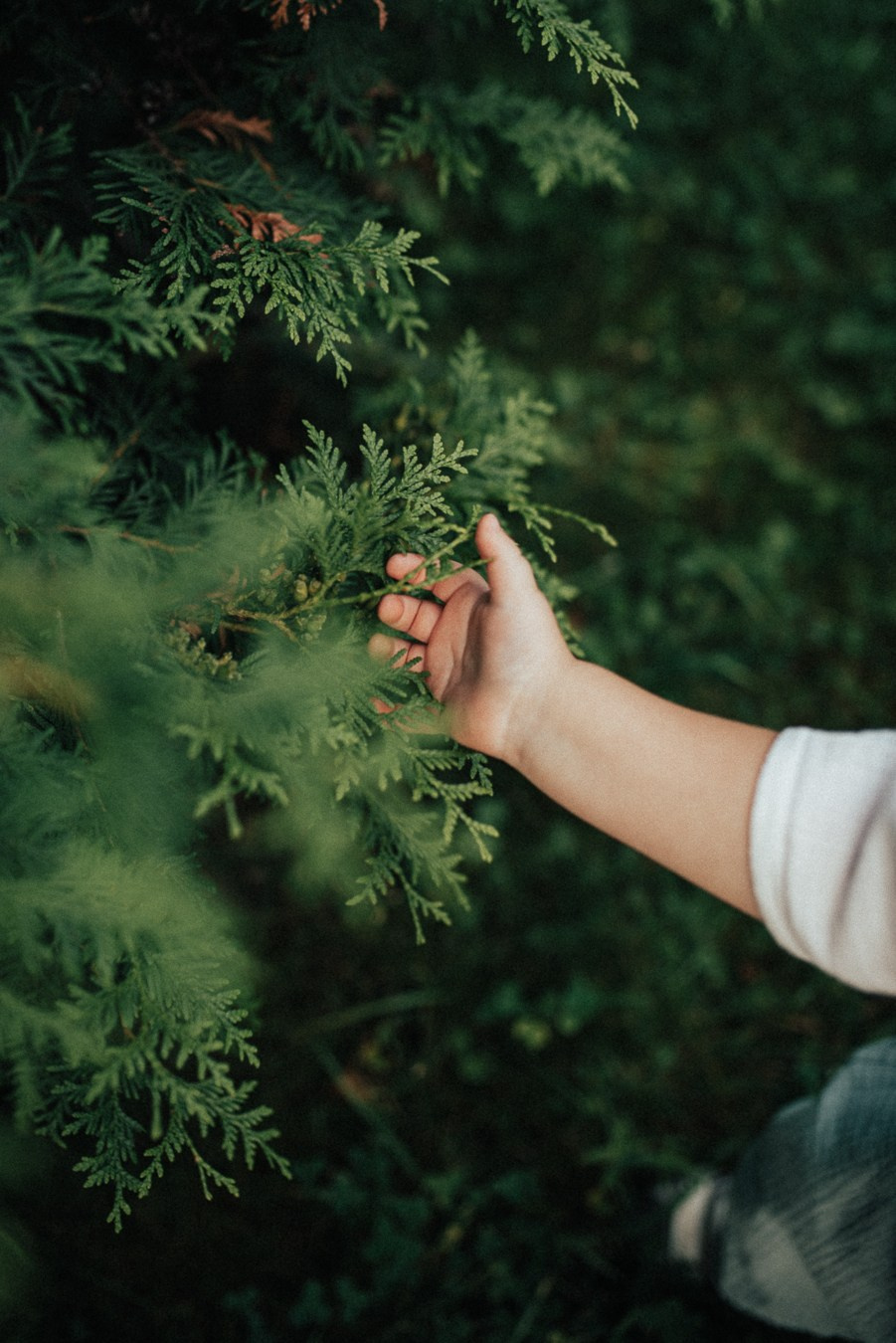 Прогулка | в городе