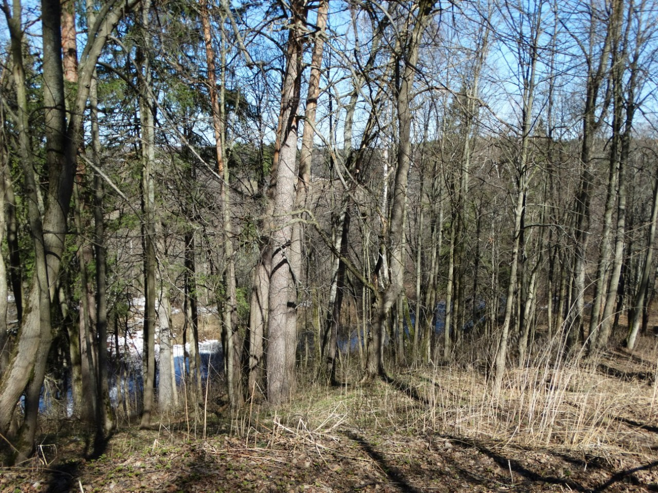 «Весенний переполох» Загородный выезд | 16-17.04.2016. Галерея Фантим