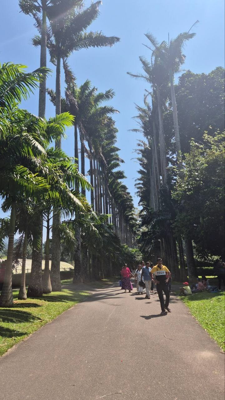 Шри-Ланка | 31.01 — 10.02.2025. Галерея Фантим