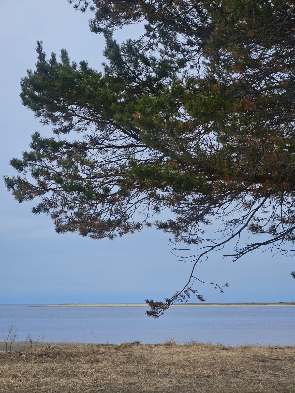 Архангельск | 08.05 — 11.05.2025. Галерея Фантим