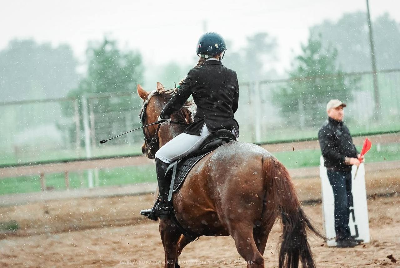 Весенний Кубок по конкуру КСК «Созвездие». Конный фотограф Куракина Дарья • Фотосессии с лошадьми
