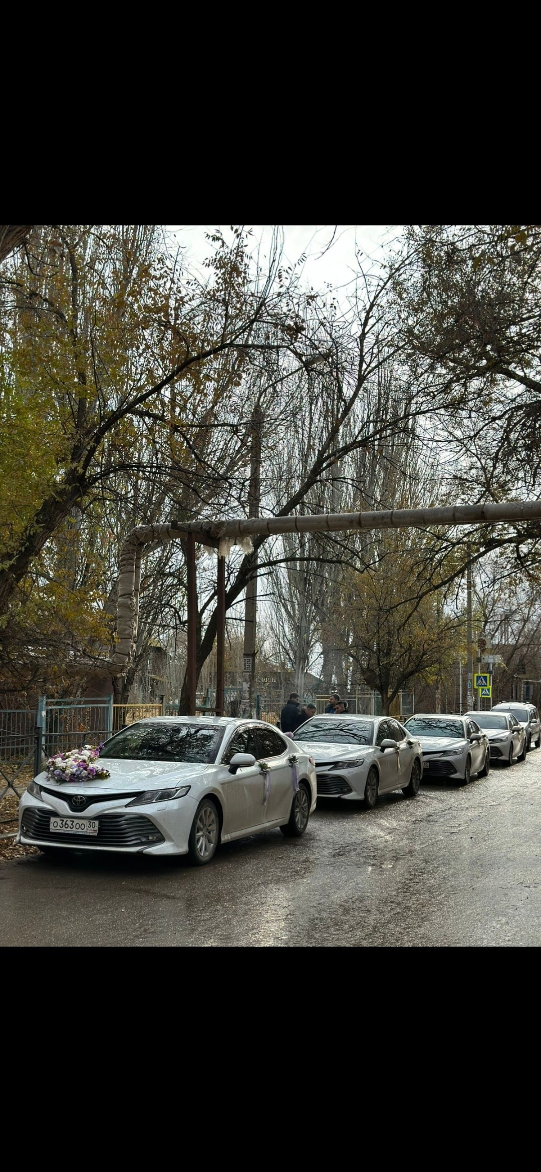 Прокат и украшение авто. Главная