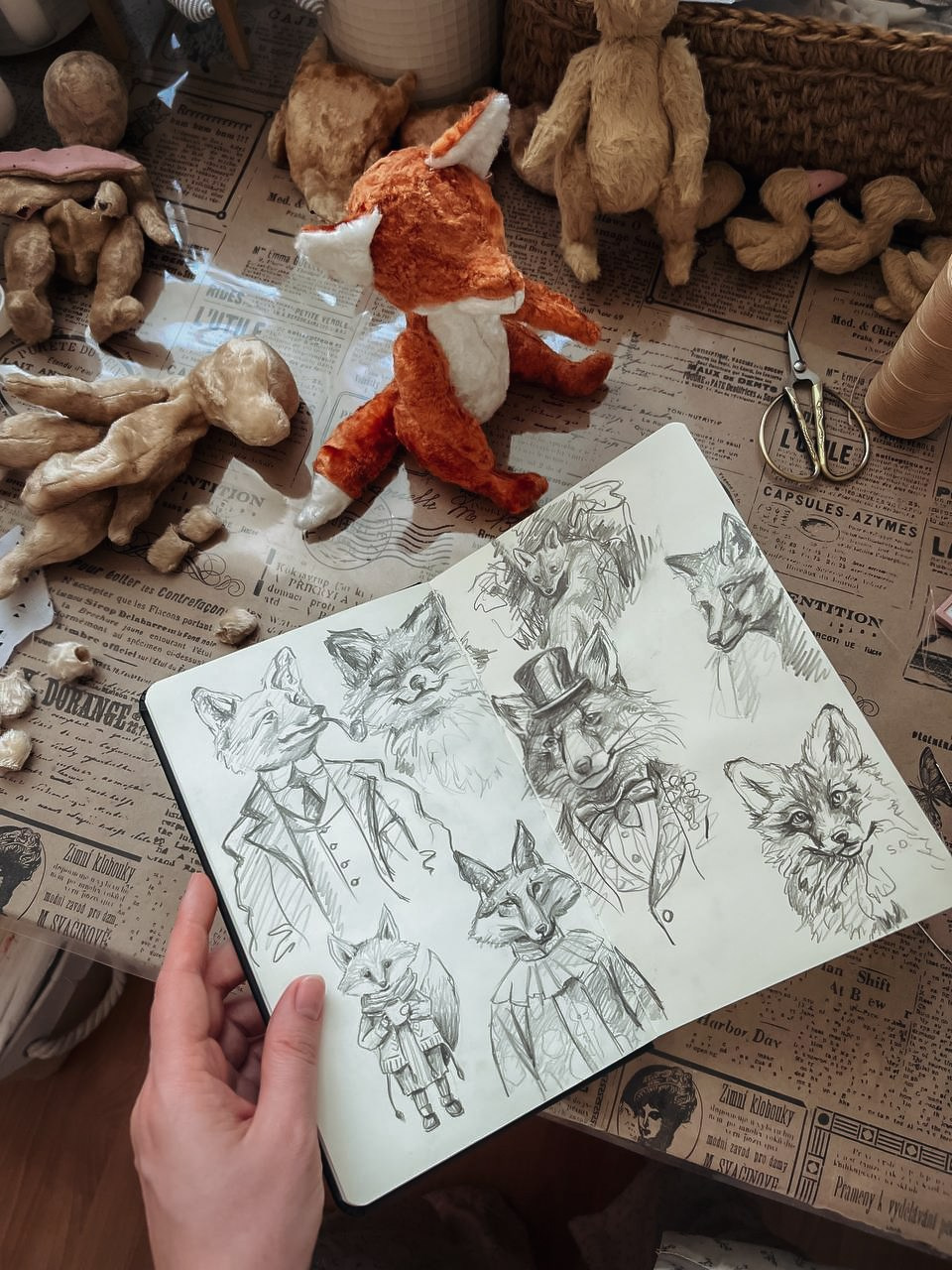 Тедди. Фотограф Ольга Сальманович