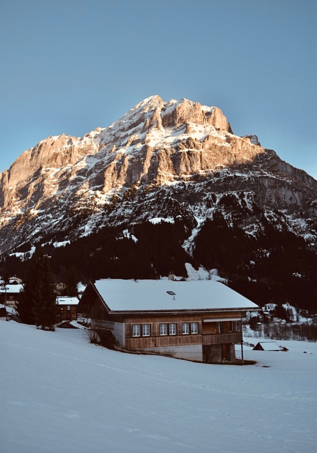 Grindelwald. Фотограф в Москве