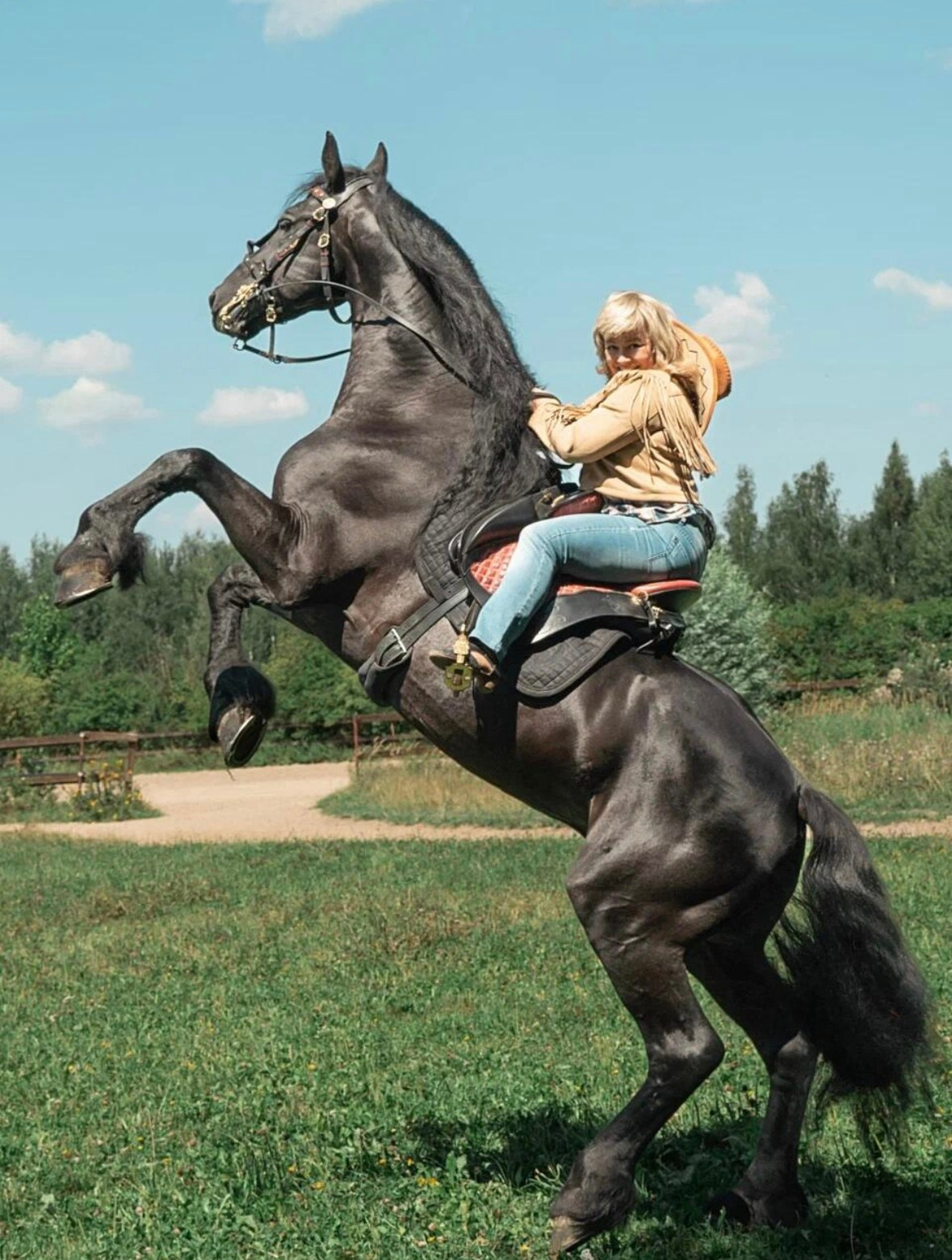 Лошадки Лето. Фотограф Зинаида Евдокимова