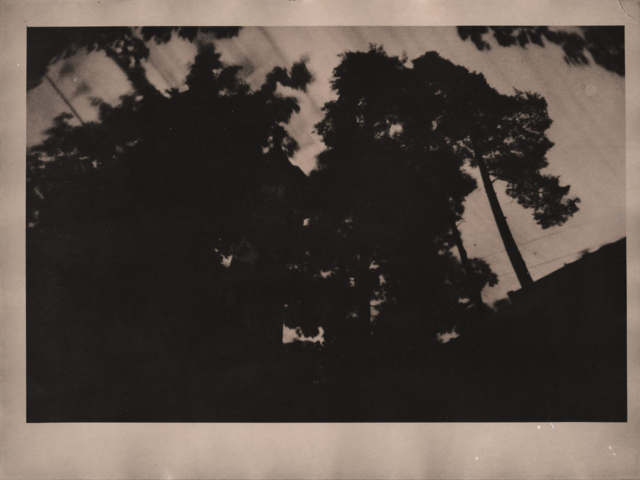 Фото-альтернатива. Данил Андреев, мультидисциплинарный художник, Санкт-Петербург