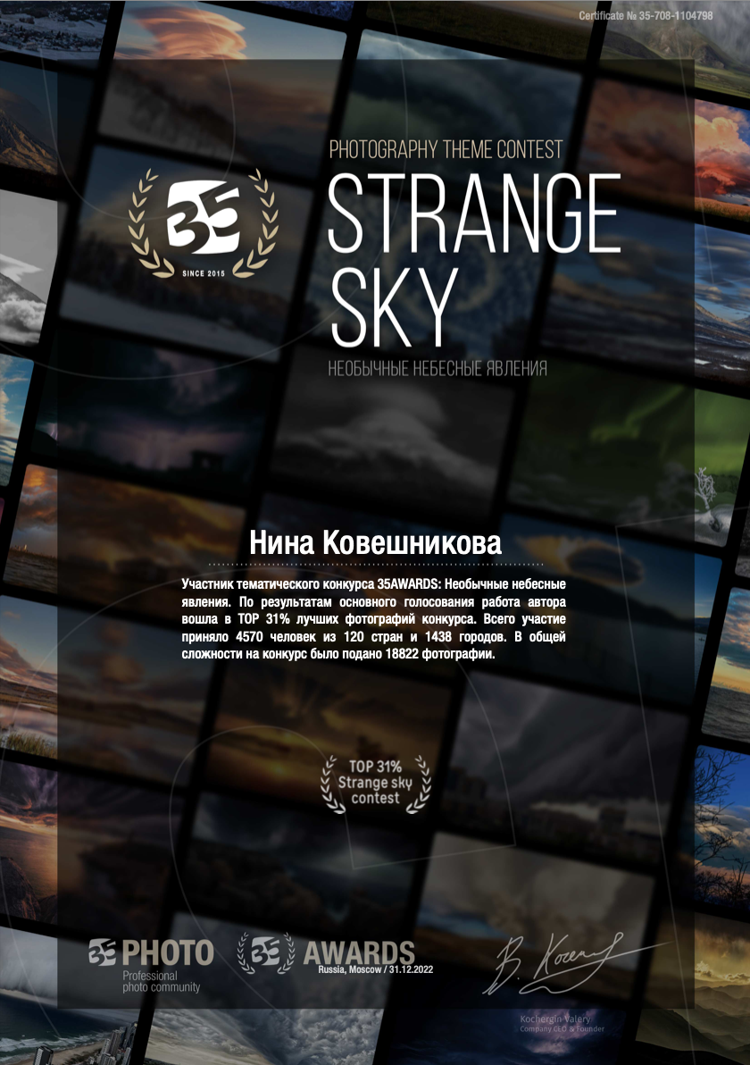 Сертификаты и грамоты. Нина Ковешникова