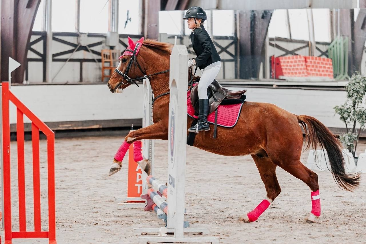 ОТКРЫТЫЕ СОРЕВНОВАНИЯ ПО КОНКУРУ В КСК «БЕЛАЯ ДАЧА». Куракина Дарья • Конный фотограф