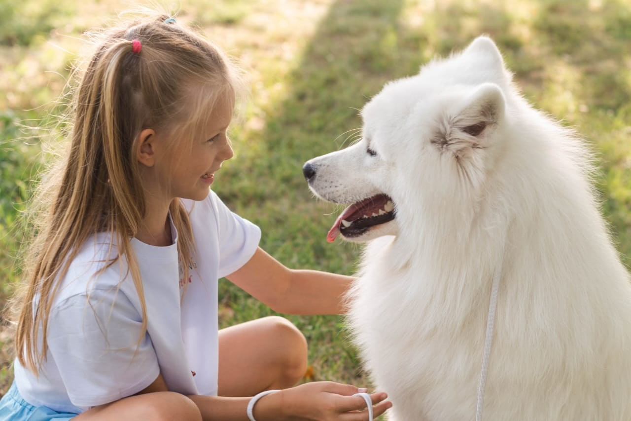 Фотосессия на Михайловской набережной. Самоед Новосибирск