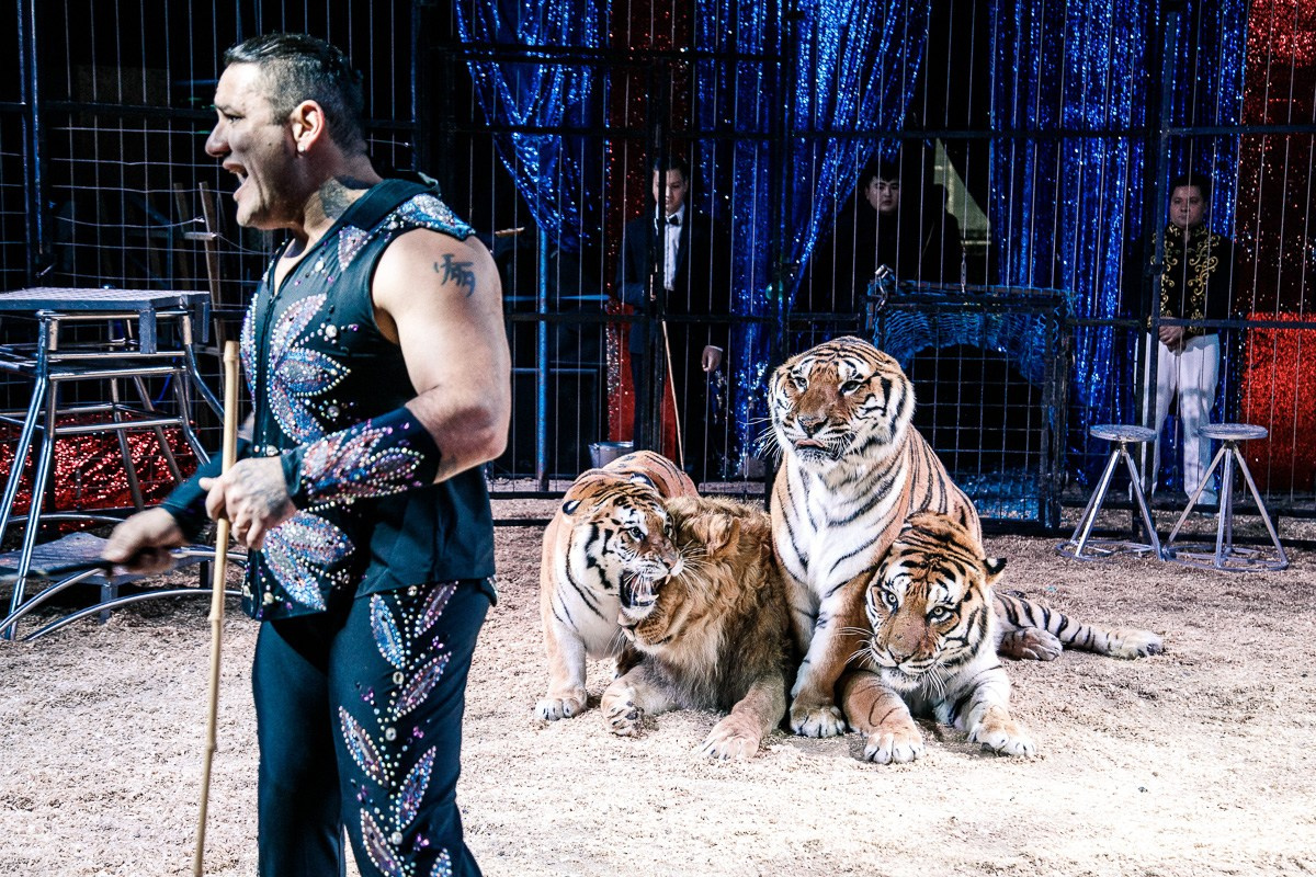 БИЗНЕС КОНТЕНТ. АЛЕКСАНДР ФОКС