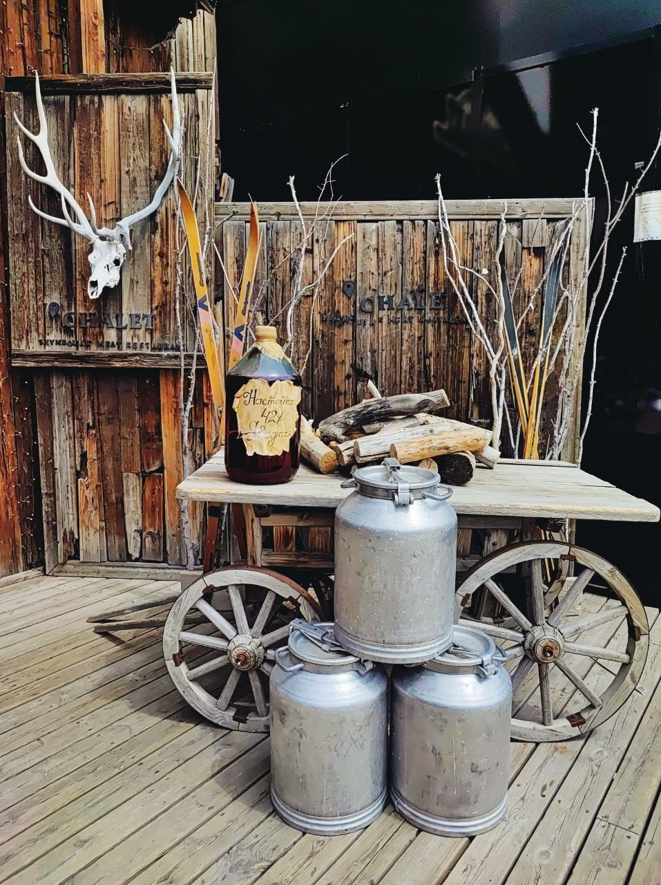 Намобилкус казахский. Репортажный фотограф Алексей Пирязев