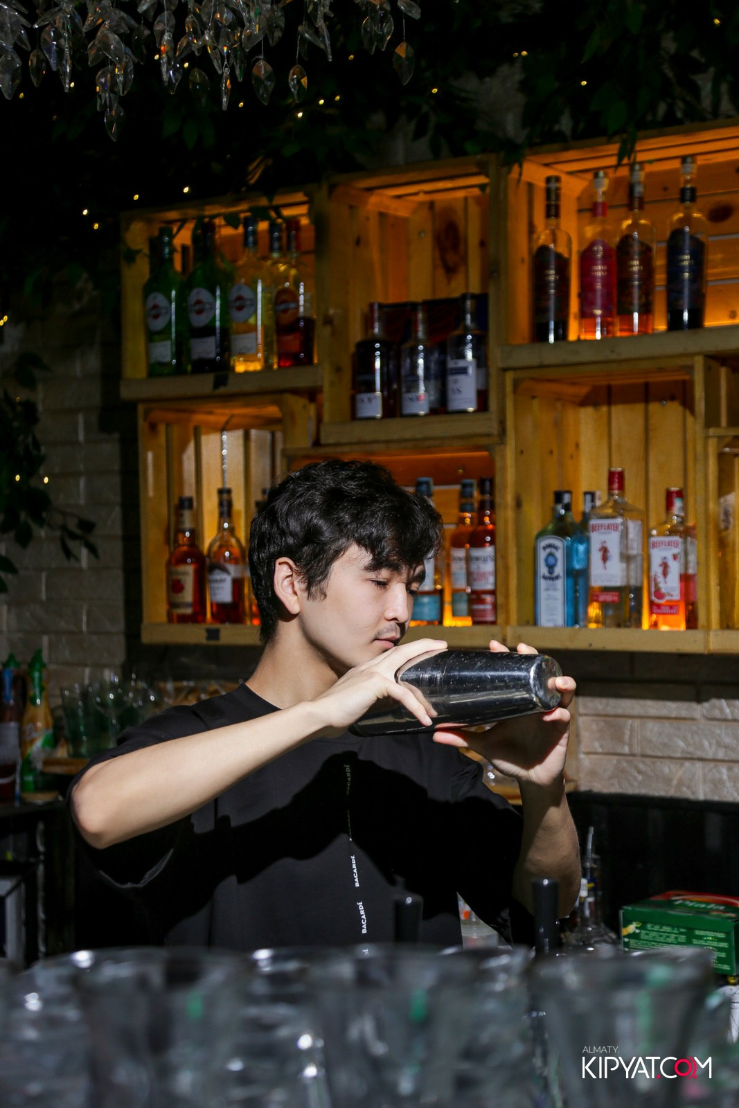 УХО И МЕДВЕДЬ НА САИНА. КИПЯТКОМ АЛМАТЫ!