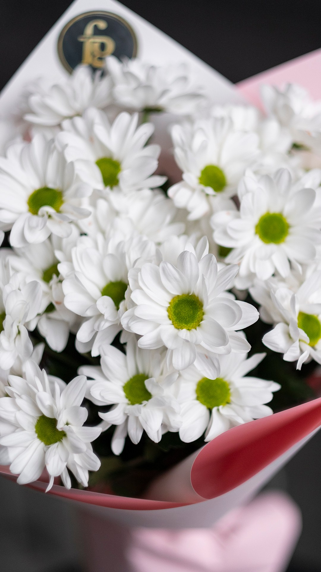 Цветочная студия Flower Garden. Профессиональный фотограф Ольга Терехова СПБ Батуми