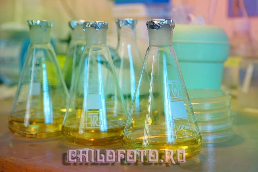 Институт Белка г. Пущино. Skazka.wfolio.pro