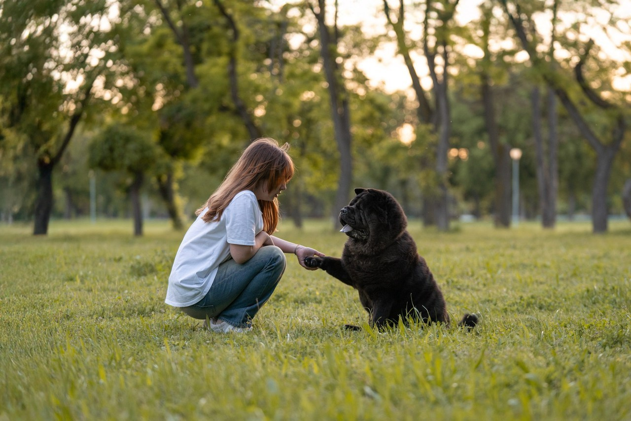 Отзывы. Фотограф анималист