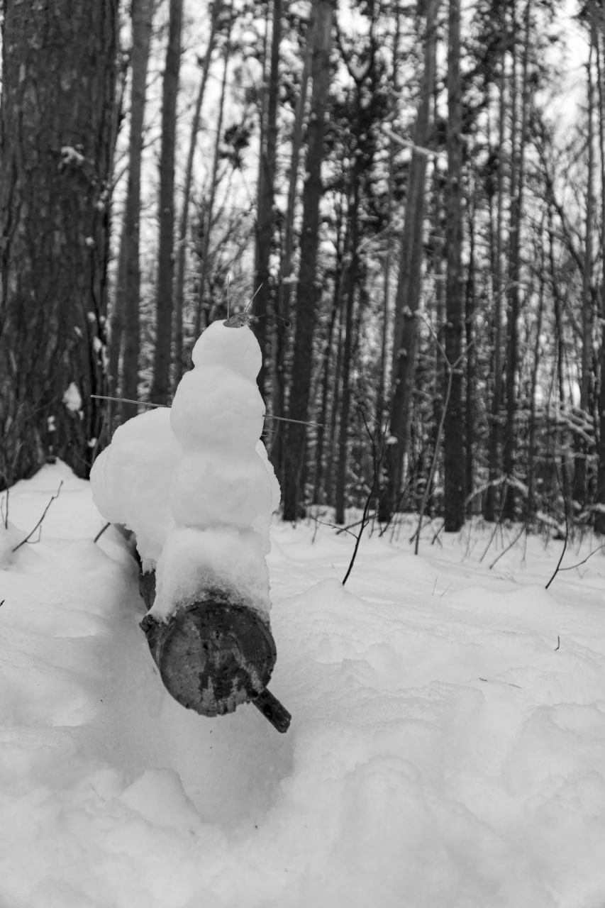 Черно-белая художественная фотография: одинокий, кривой снеговик с темным ведром на голове стоит в заснеженном сосновом лесу, вертикали деревьев контрастируют с округлой фигурой, атмосферная зимняя сцена, Вадим Топорёнок, проект Манифест теней, геометрия природы, эстетика одиночества, монохромная пейзажная фотография, фигура в лесу.