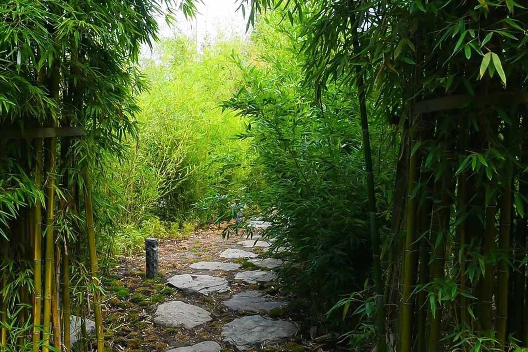 КРАСНОДАР. Свадебный и семейный фотограф/видеограф в Краснодаре Наталья Осинская