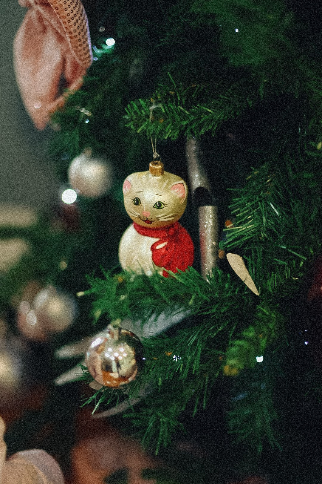 Family. Фотограф Нижний Новгород