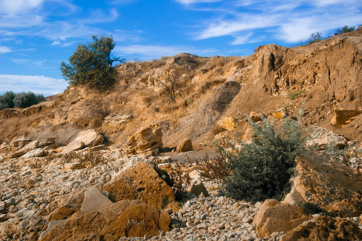 Хутор Мержаново. Свадебный фотограф в Ростове Александра Груздева