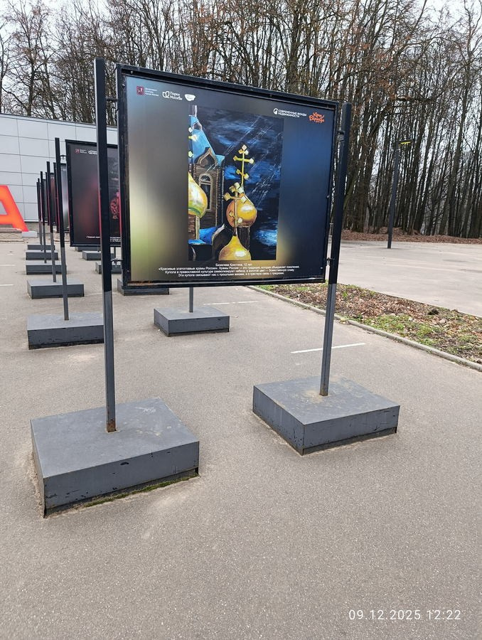 Шашкина Юлия Владимировна. Галерея участников Российской Премии Искусств