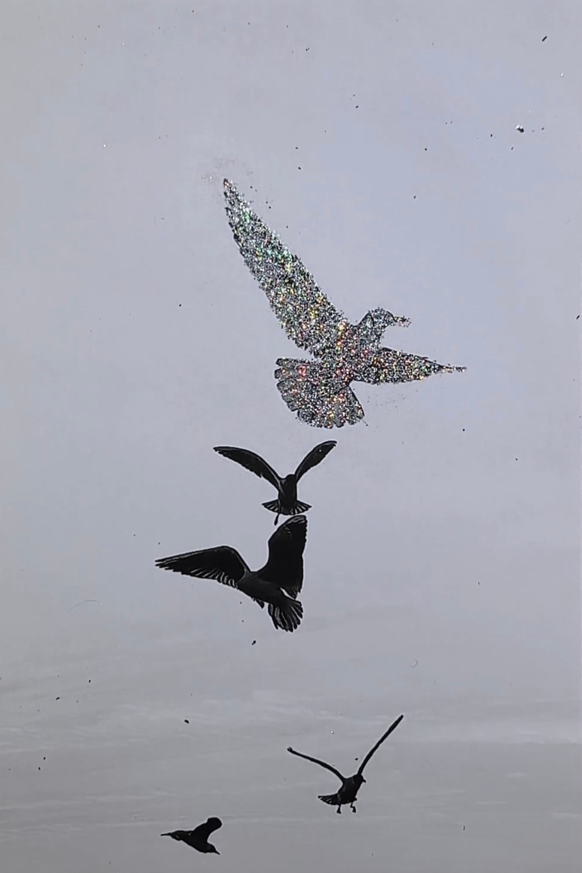 Art. Anna Sazhenkova photographer and visual artist from Russia