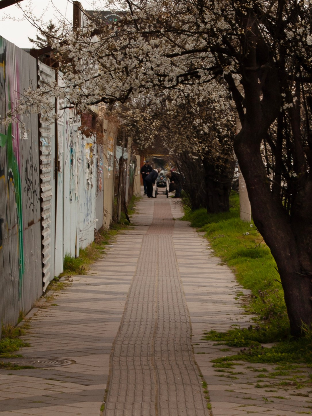 Фотосессия города Краснодар. Портретный фотограф в Краснодаре Слава Никитин