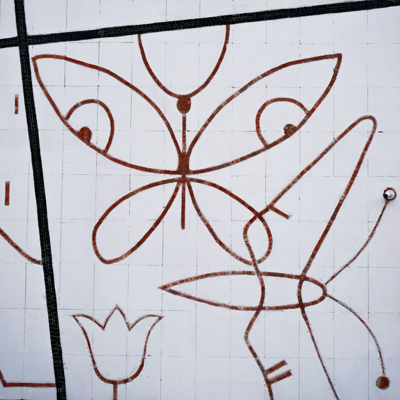 30.11.2024 // Фотоэкскурсия по Воробьевым горам с your_guide_msk. Фотовыставки serebro.gallery, в которых автором можешь стать ты! | Москва