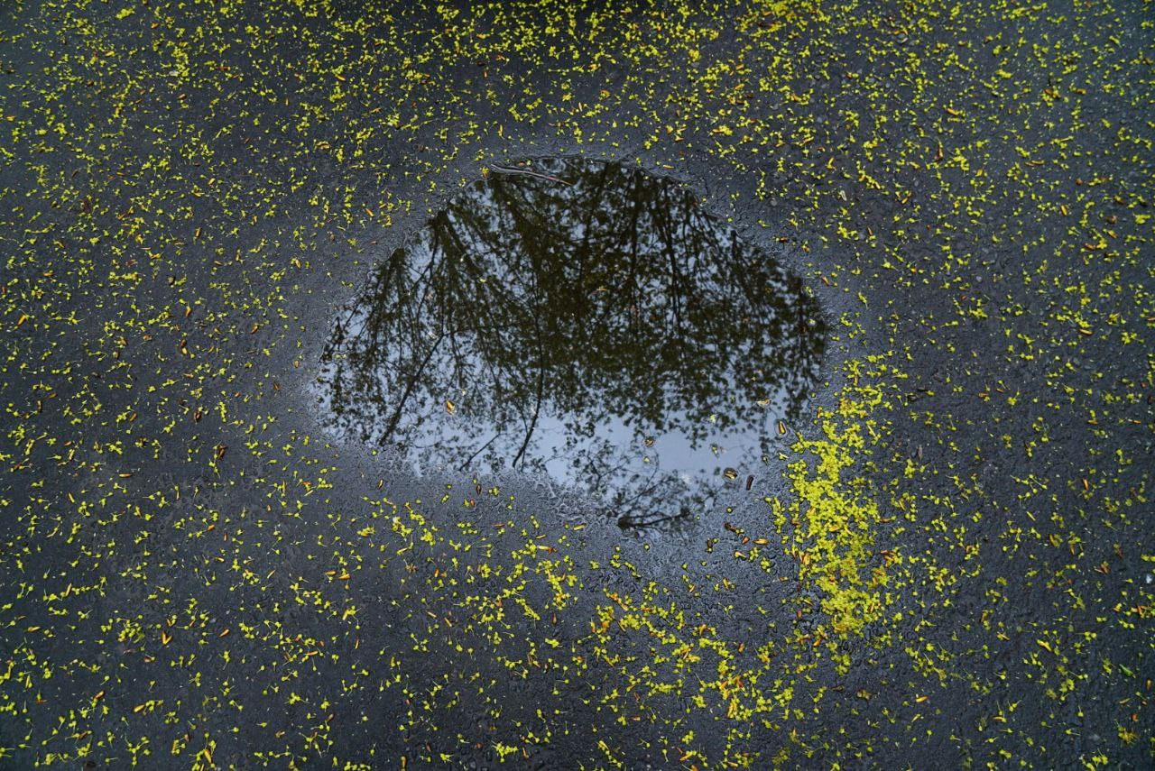 Симуляторы (Каталог № 4). Главная