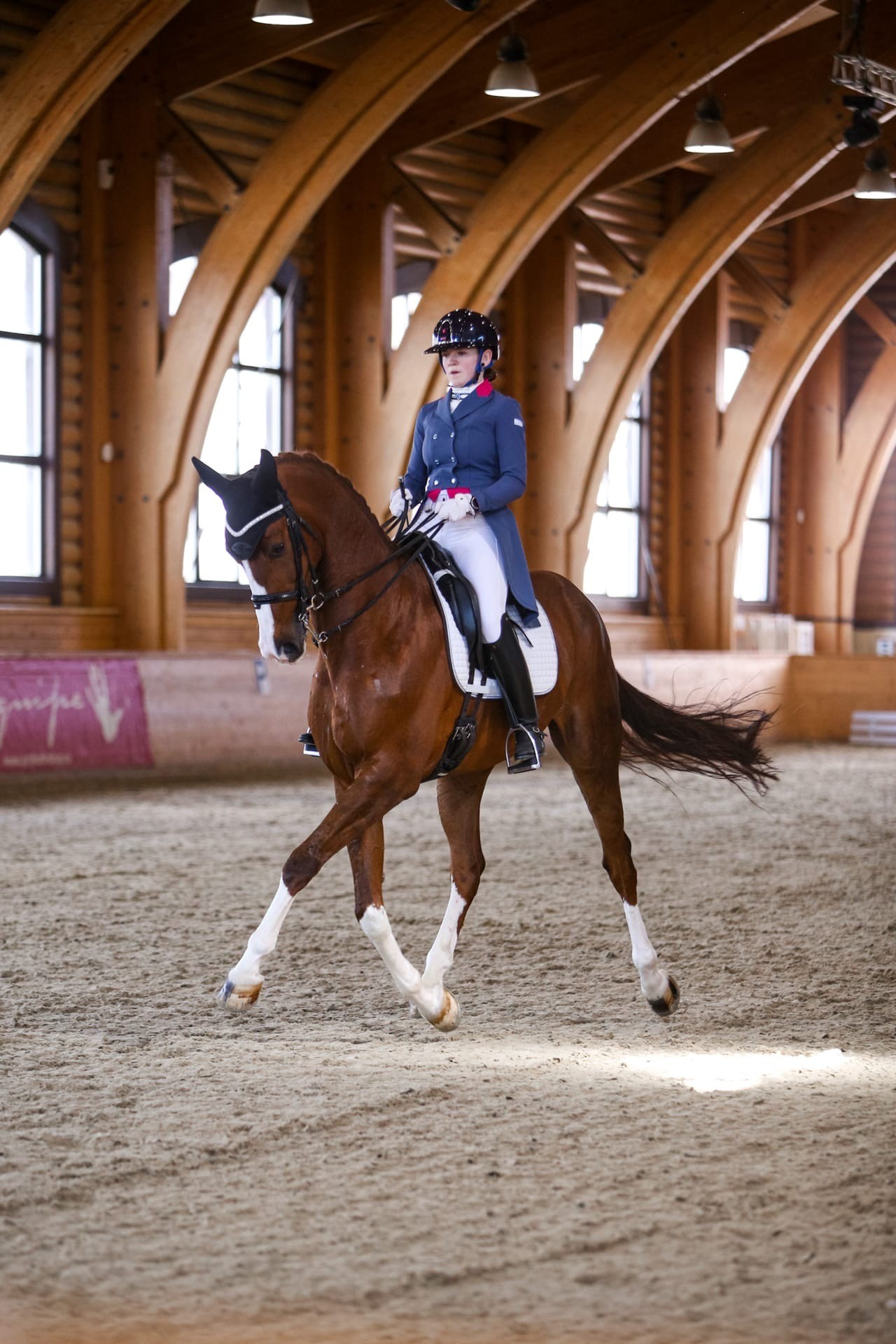 Зимние соревнования. Фотосессии с лошадьми