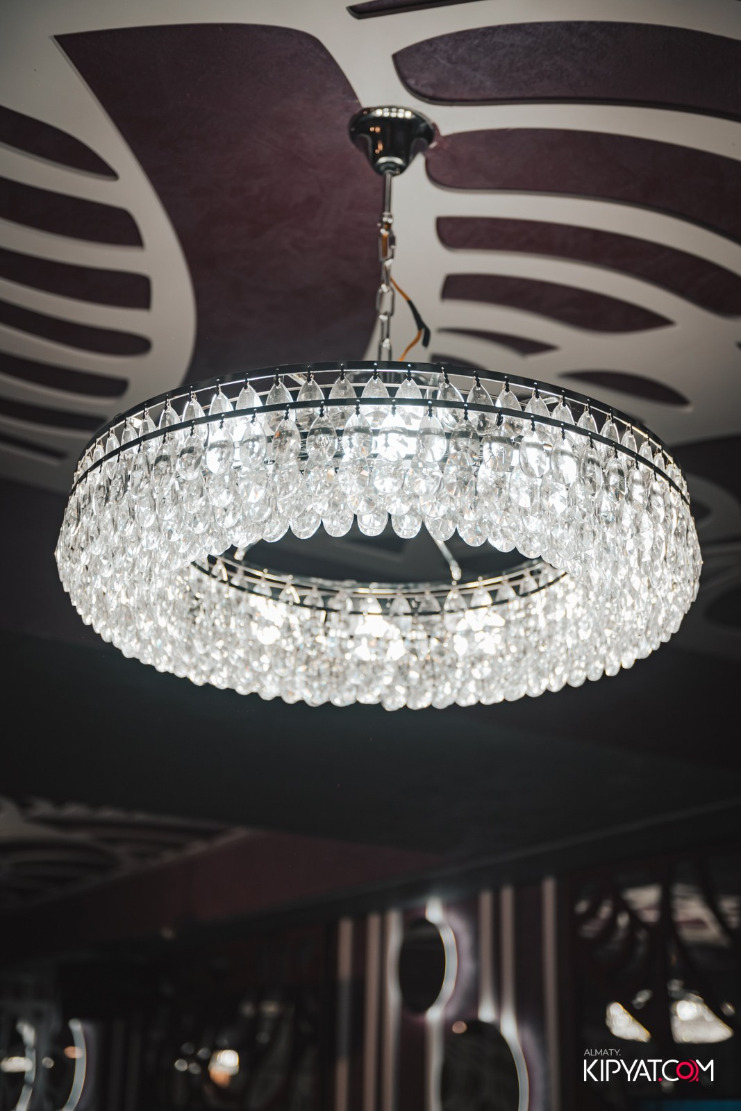 УХО И МЕДВЕДЬ НА КУРМАНГАЗЫ. КИПЯТКОМ АЛМАТЫ!