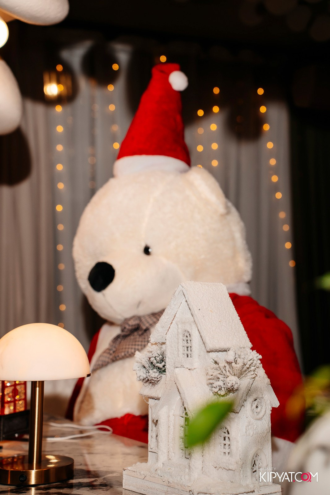 LOVA COFFEE. КИПЯТКОМ АЛМАТЫ! Фотосъемка мероприятий в Алматы