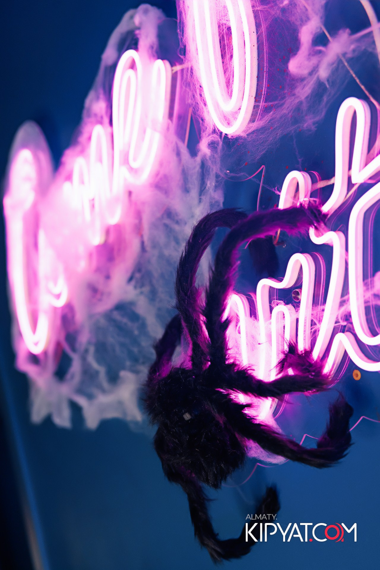 VICE CITY. КИПЯТКОМ АЛМАТЫ! Фотосъемка мероприятий в Алматы