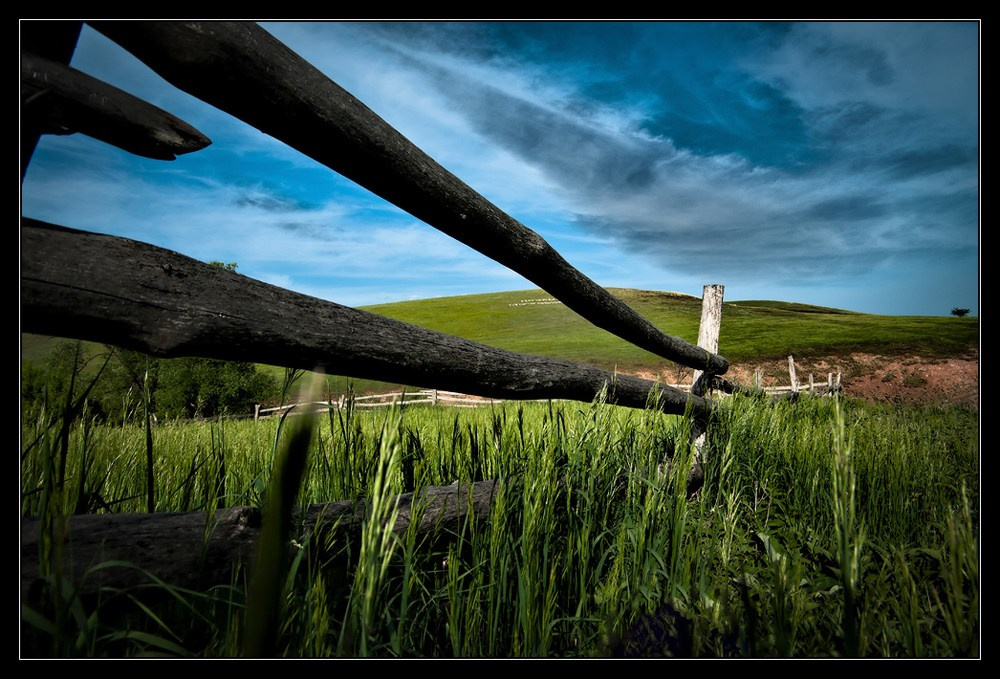 Композиция кадра. Семейный и свадебный фотограф в Майкопе Михаил Мартиросян