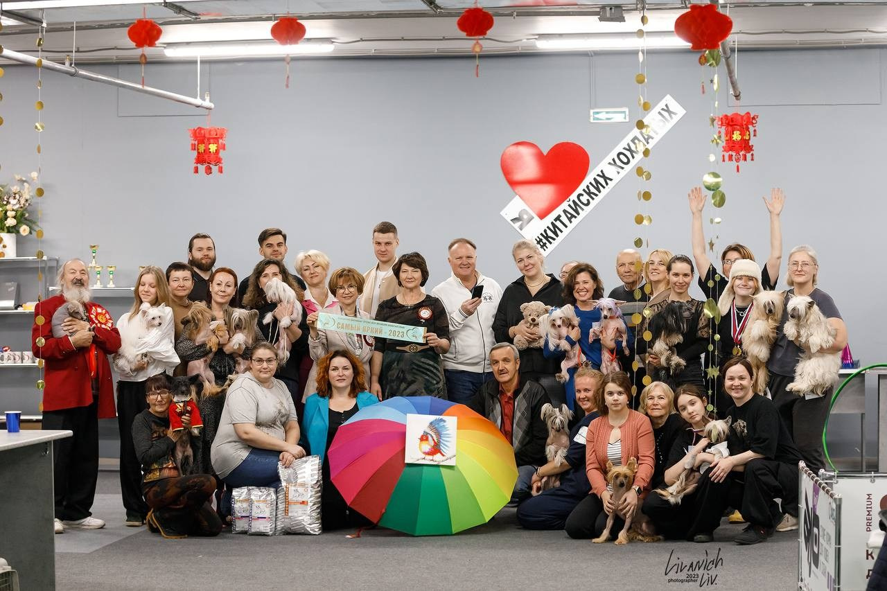 Праздник породы «Яркий мир китайских хохлатых собак». Питомник китайских хохлатых собак Poale Ell: купить щенка в питомнике