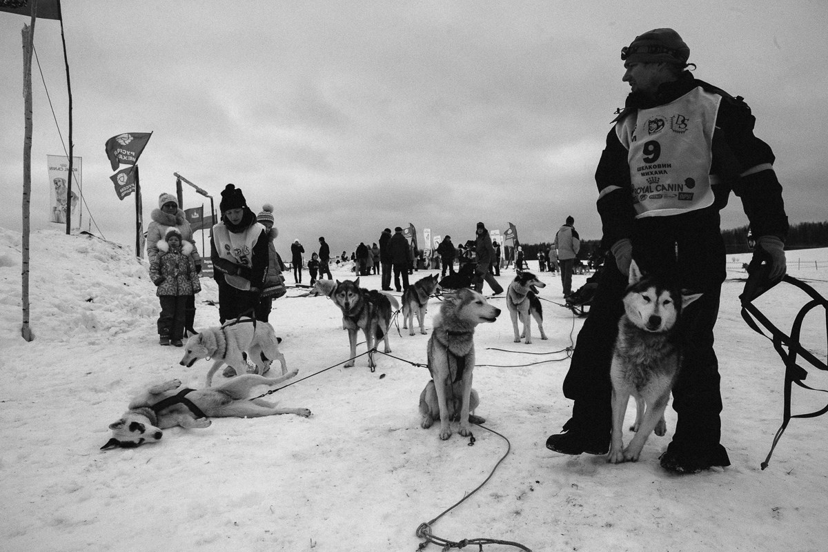 Северная Надежда. Виктор Вытольский —репортажный и событийный фотограф в Москве