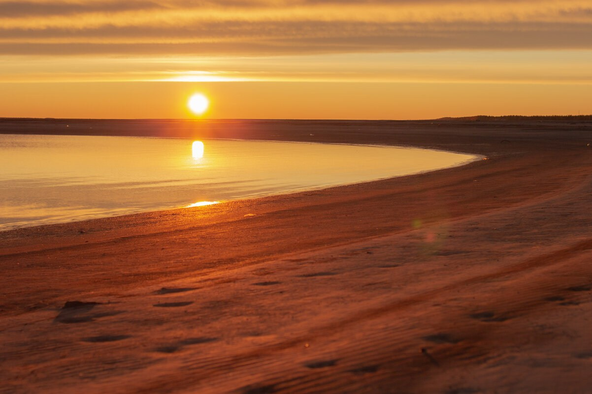 Галерея. Фотограф Екатерина Зорина