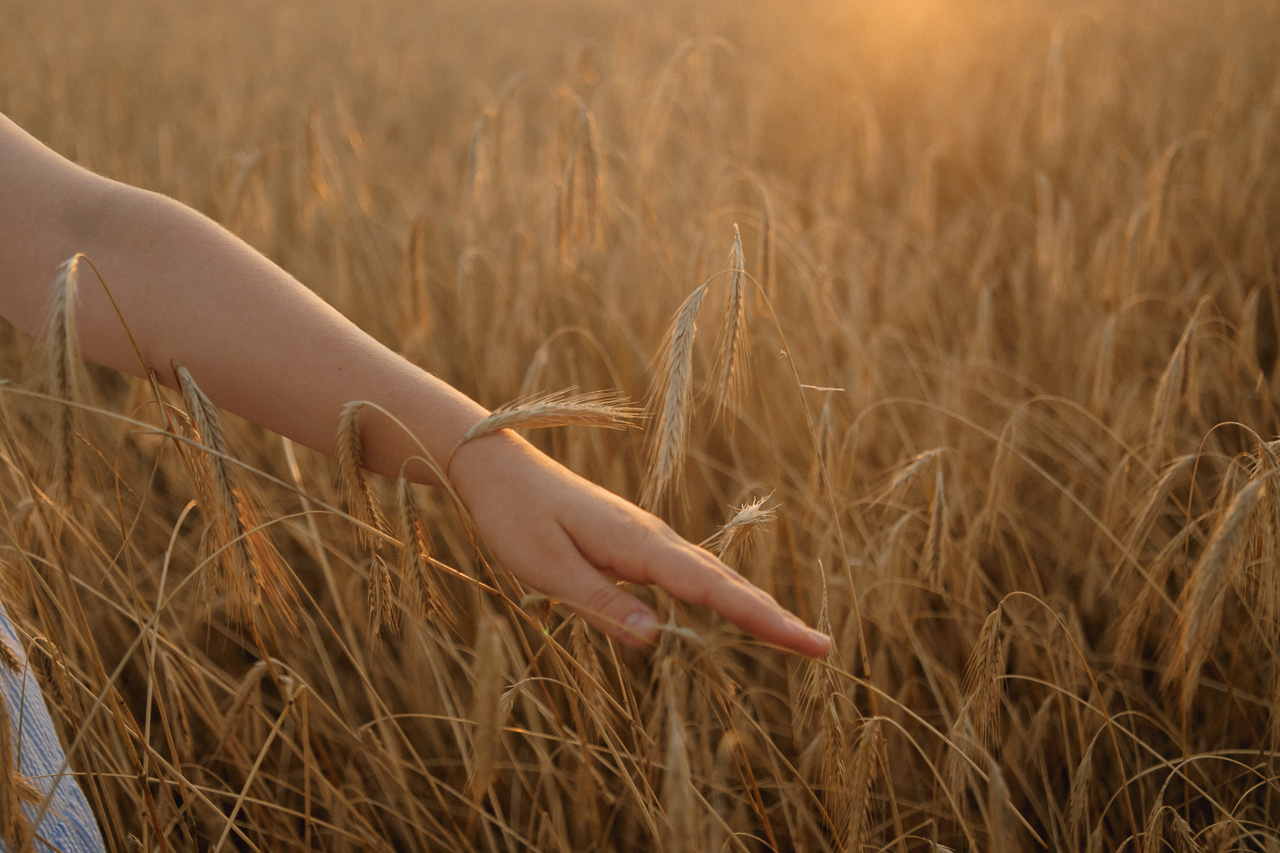 Даниил и Ира. Семейный и свадебный фотограф в Нижнем Новгороде