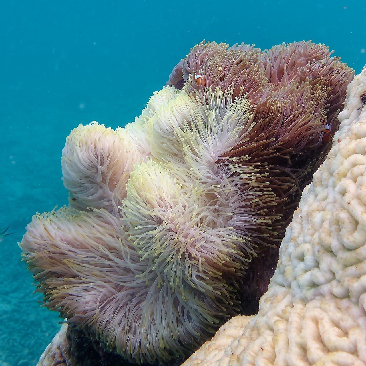Мне посмотреть. Рыбов показываю