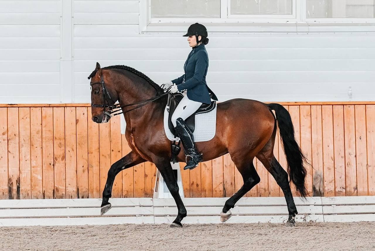 Весенний Бал в КСК «Конкорд». Конный фотограф Куракина Дарья • Фотосессии с лошадьми