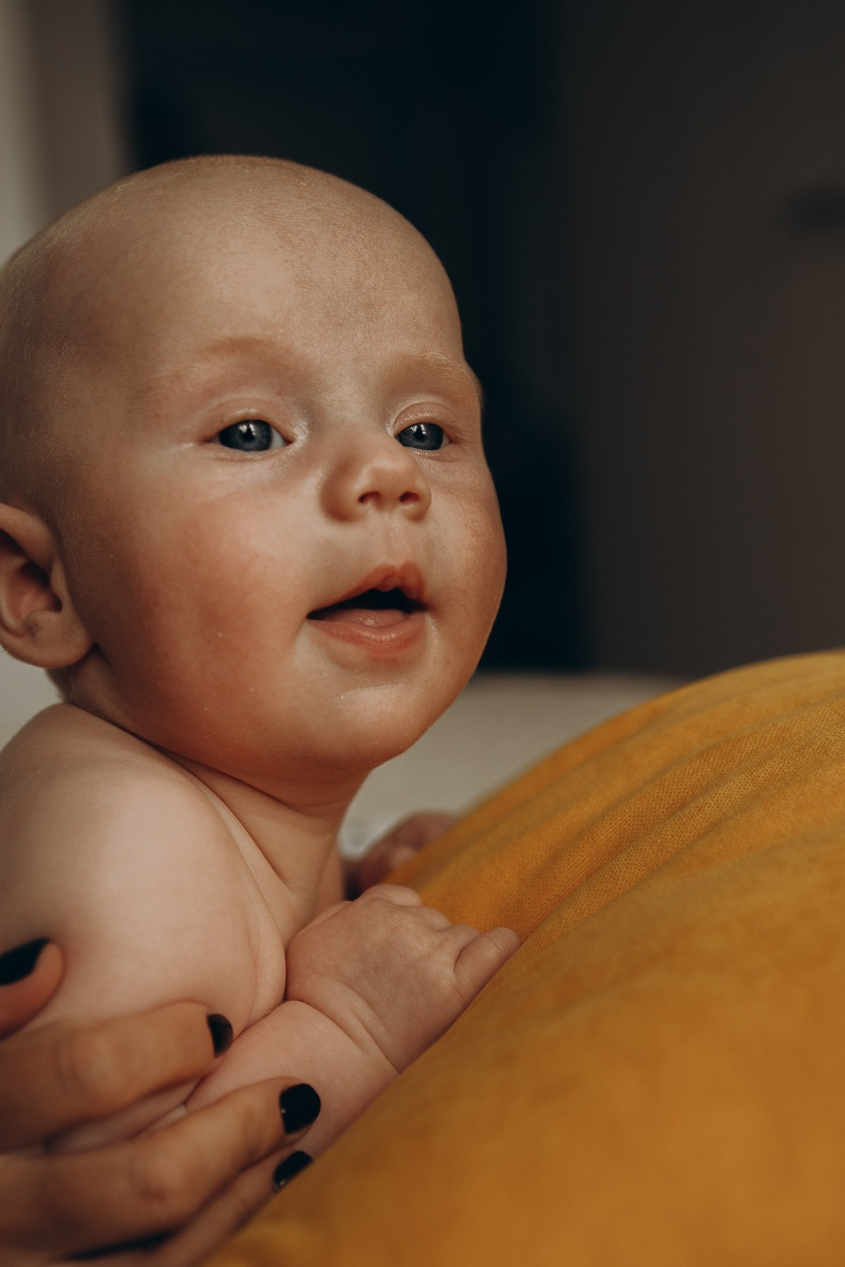 Денис, Света, София и Демид — теплые моменты дома. Семейный фотограф Новороссийск, Анапа, Геленджик — Юлия Давыдова