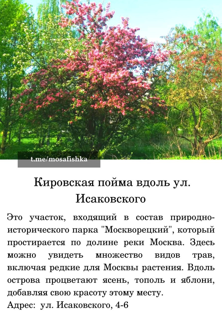 Локации для фотосессии в Москве