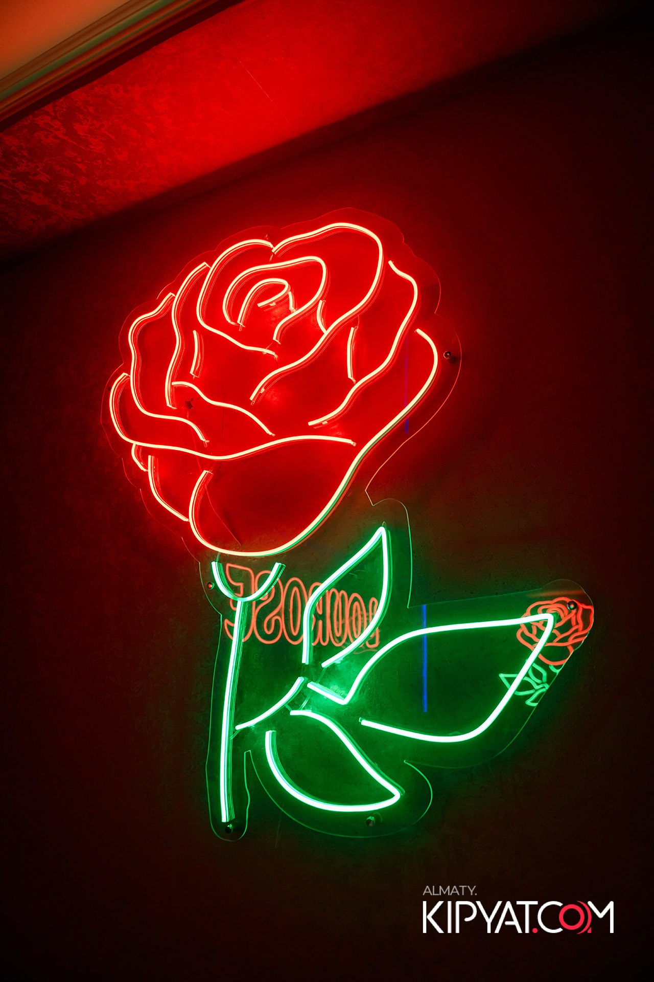 Рояль Cosmo. КИПЯТКОМ АЛМАТЫ!