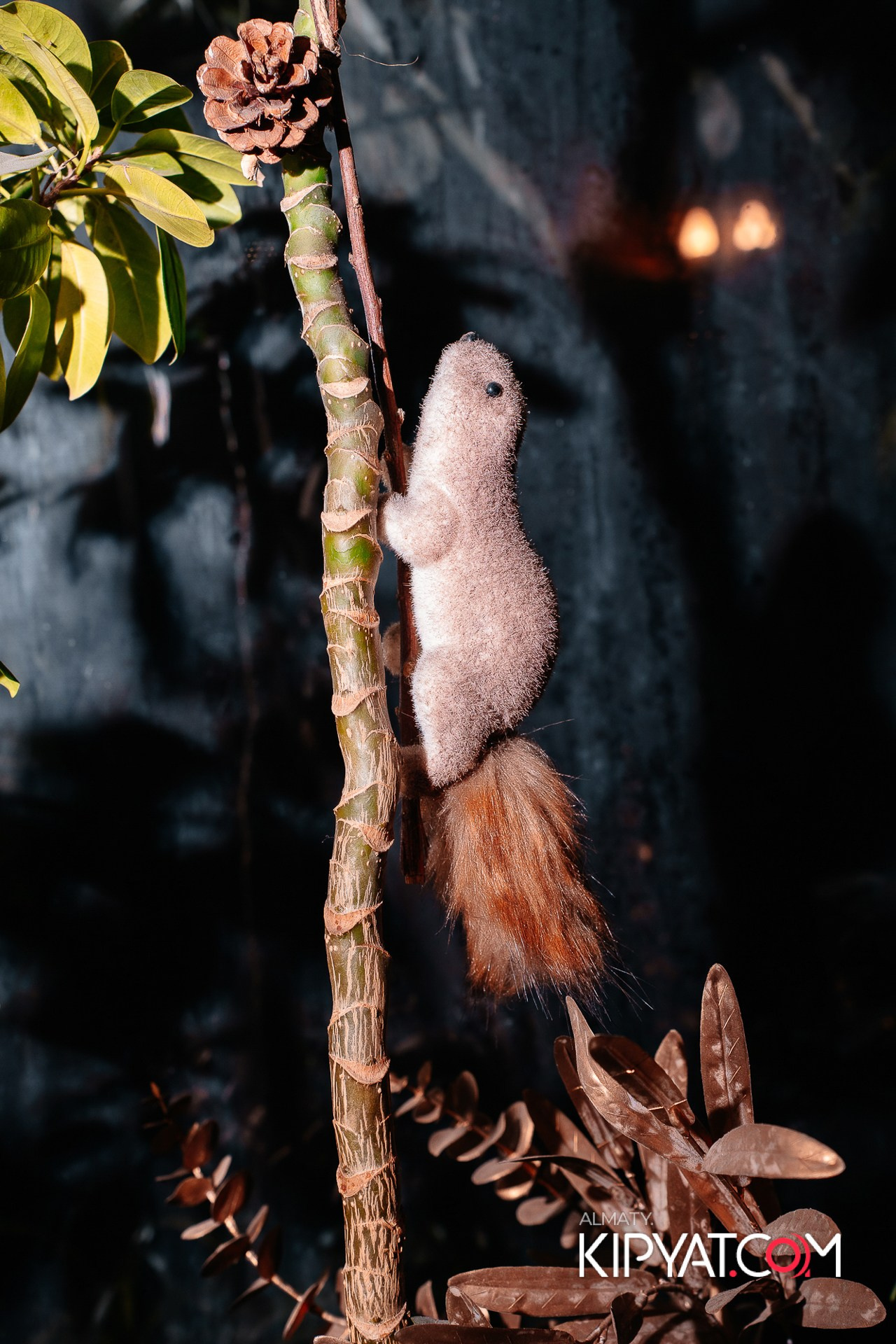 Munchen на Сейфуллина. КИПЯТКОМ АЛМАТЫ!