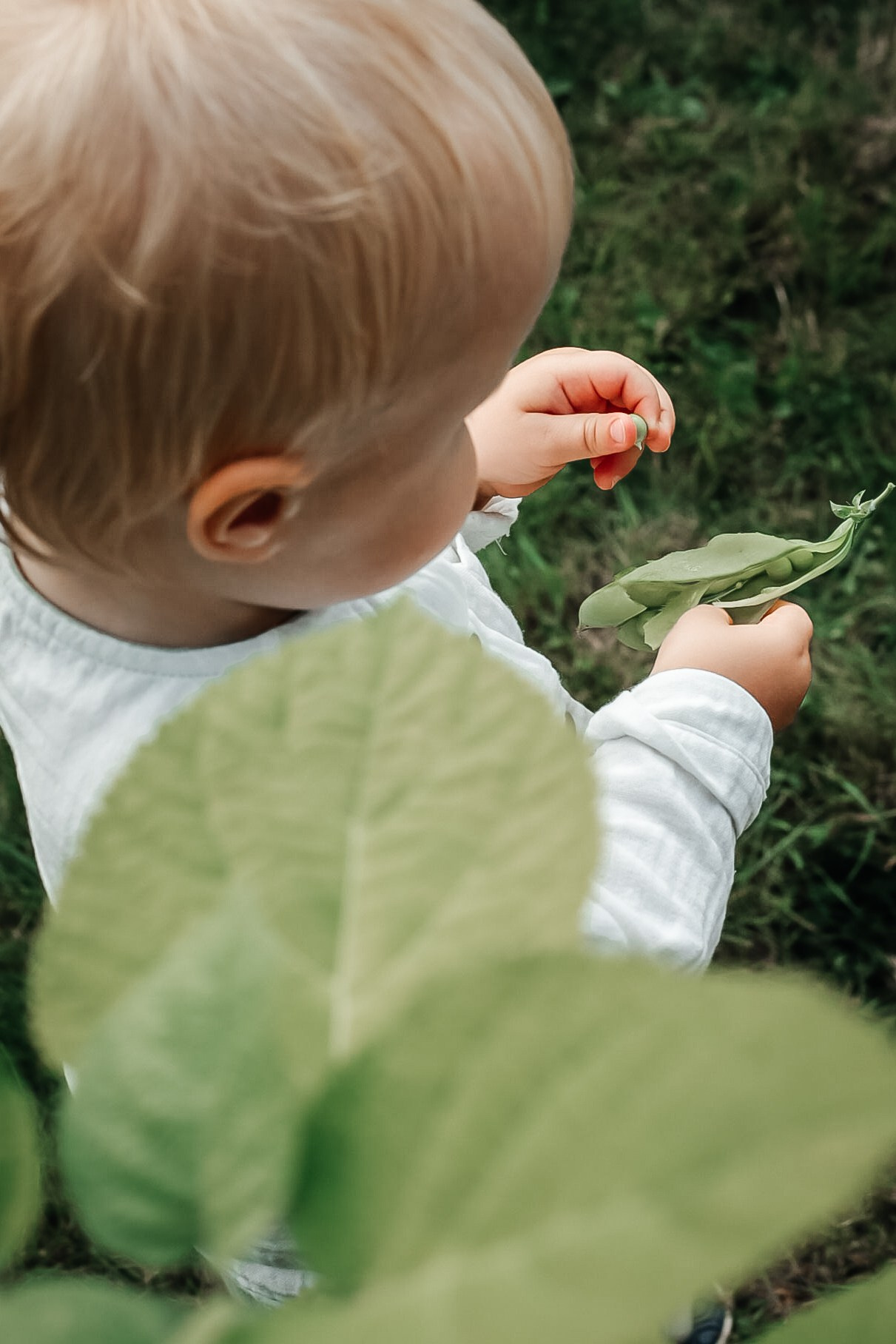 Детская съемка. Фотограф в Петрозаводске Вероника Манакова