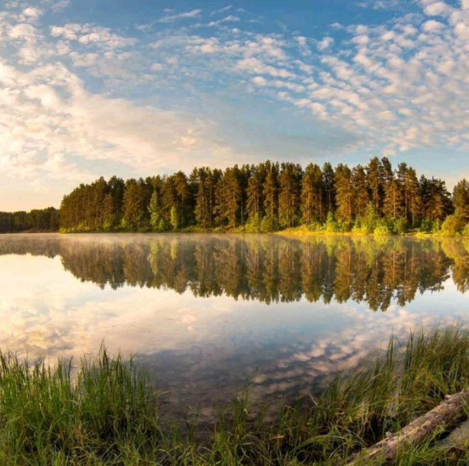 Площадка № 6-2. Свадебный организатор Москва