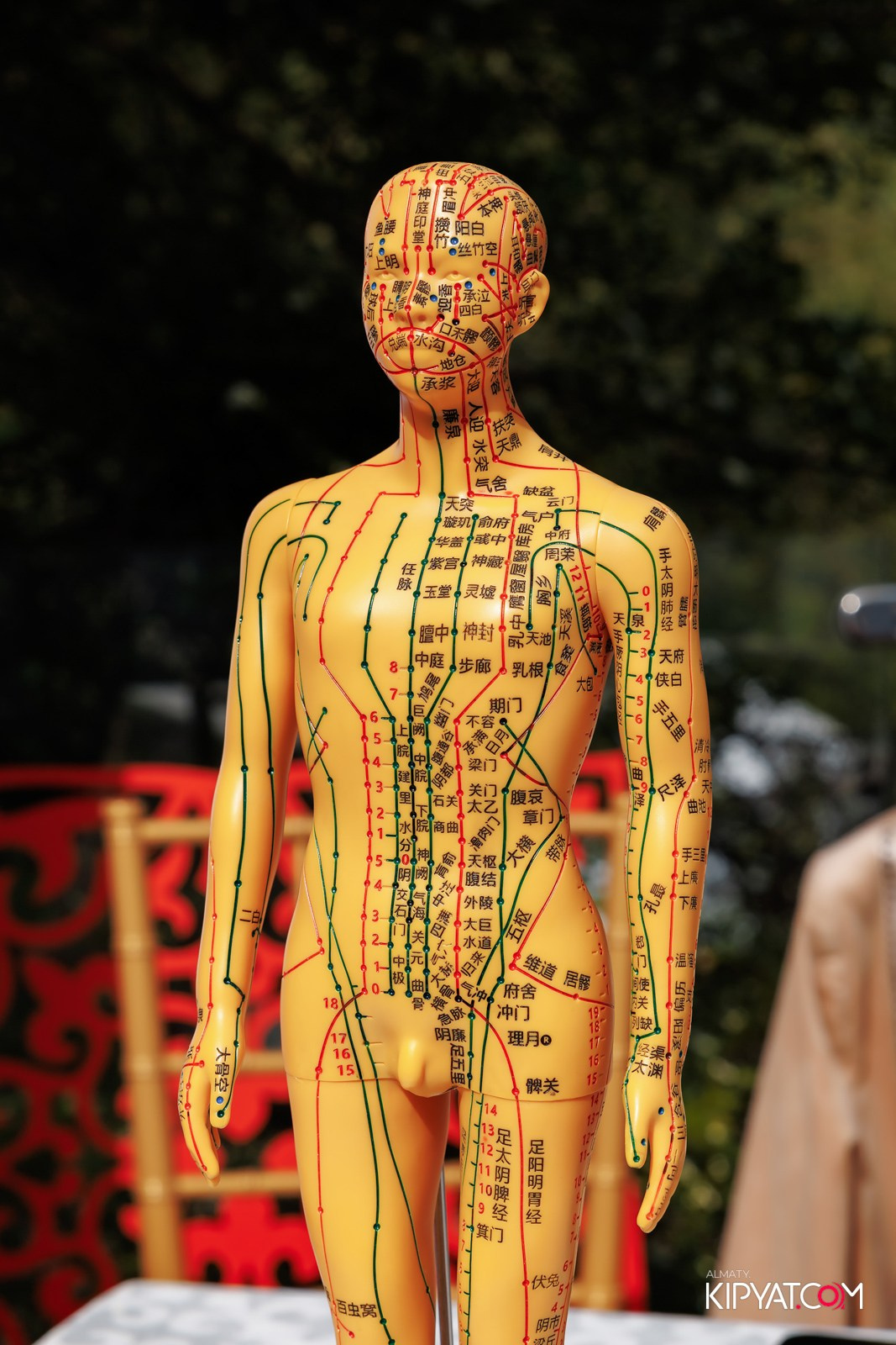 KANG REN TANG. КИПЯТКОМ АЛМАТЫ!